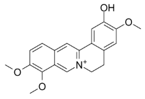 Columbamine (Dehydroisocorypalmine)