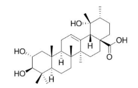Tormentic acid(19α-Dihydroxyursolic acid)