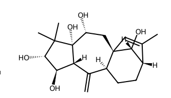 Rhodomollein XIX